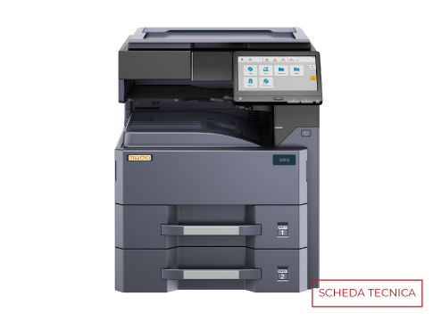 Lorem ipsum dolor sit